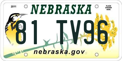 NE license plate 81TV96