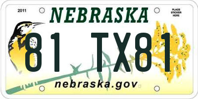 NE license plate 81TX81