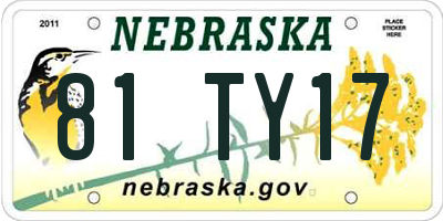 NE license plate 81TY17