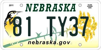 NE license plate 81TY37