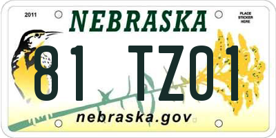 NE license plate 81TZ01