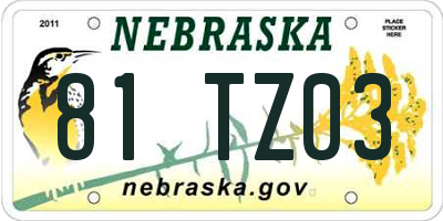 NE license plate 81TZ03