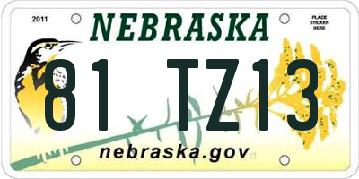 NE license plate 81TZ13