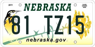 NE license plate 81TZ15
