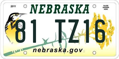 NE license plate 81TZ16