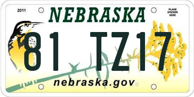 NE license plate 81TZ17