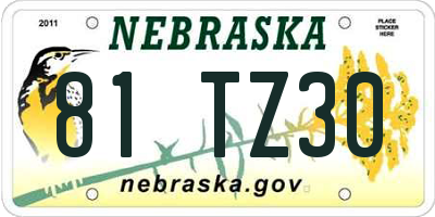 NE license plate 81TZ30