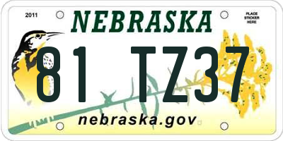 NE license plate 81TZ37