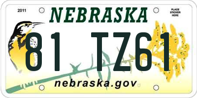NE license plate 81TZ61