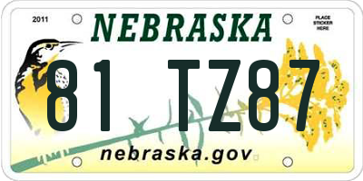 NE license plate 81TZ87
