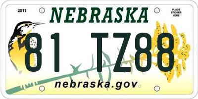 NE license plate 81TZ88