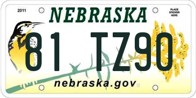 NE license plate 81TZ90