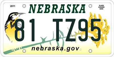 NE license plate 81TZ95