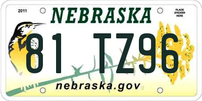 NE license plate 81TZ96