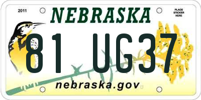NE license plate 81UG37