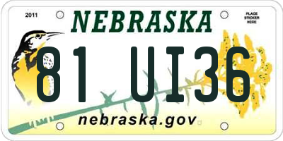 NE license plate 81UI36