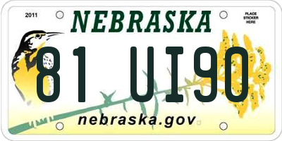 NE license plate 81UI90