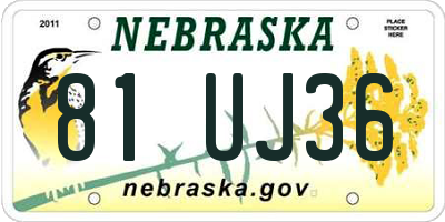 NE license plate 81UJ36