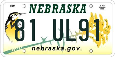 NE license plate 81UL91
