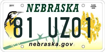 NE license plate 81UZ01