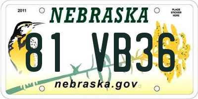 NE license plate 81VB36