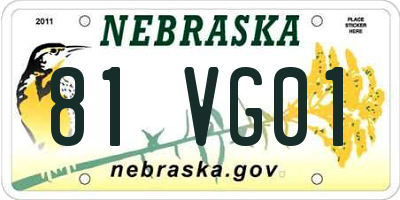 NE license plate 81VG01