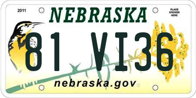 NE license plate 81VI36