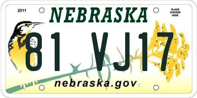 NE license plate 81VJ17