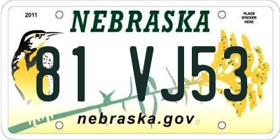 NE license plate 81VJ53