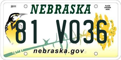 NE license plate 81VO36