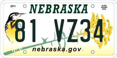 NE license plate 81VZ34