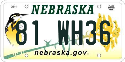 NE license plate 81WH36