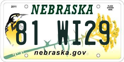 NE license plate 81WI29