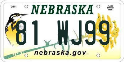 NE license plate 81WJ99