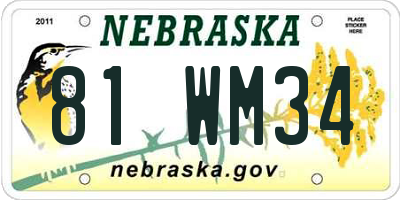 NE license plate 81WM34