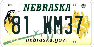 NE license plate 81WM37
