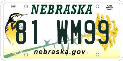 NE license plate 81WM99