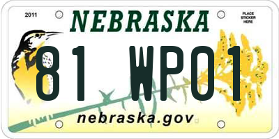 NE license plate 81WP01