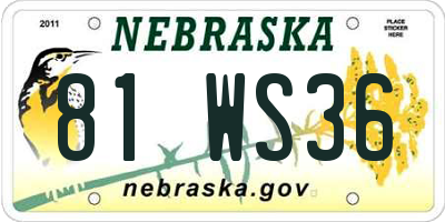 NE license plate 81WS36