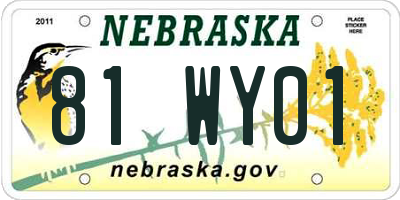 NE license plate 81WY01