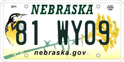 NE license plate 81WY09