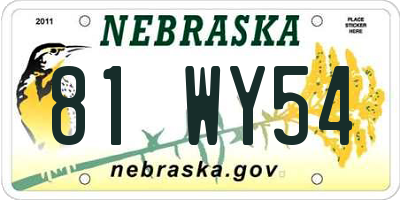NE license plate 81WY54