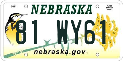 NE license plate 81WY61