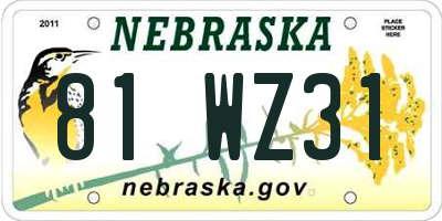 NE license plate 81WZ31