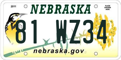 NE license plate 81WZ34