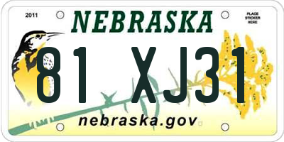 NE license plate 81XJ31