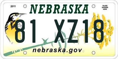 NE license plate 81XZ18