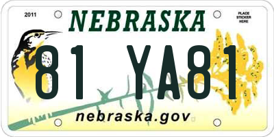 NE license plate 81YA81
