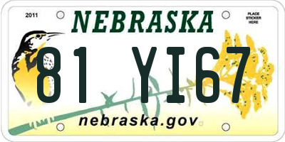 NE license plate 81YI67
