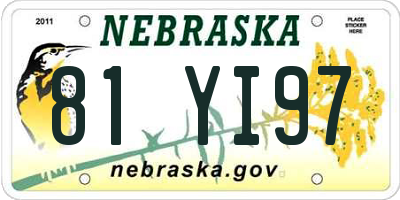 NE license plate 81YI97